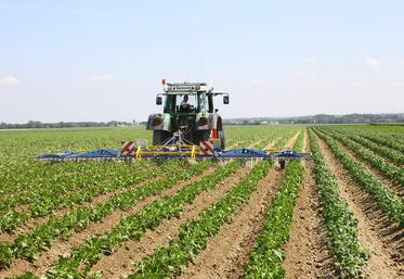 Qu’il soit chimique, mécanique ou combiné, la première étape du désherbage reste de bien définir sa cible, de manière  à adapter sa stratégie.