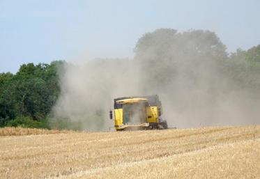 La filière souhaite doubler les surfaces de grandes cultures - céréales et oléoprotéagineux - biologiques en cinq ans.