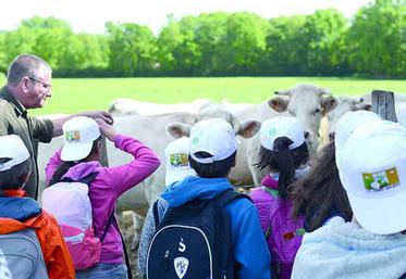 Dominique, producteur de vaches allaitantes, explique son métier aux enfants.