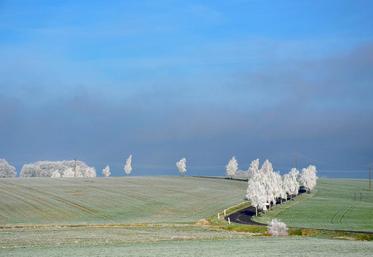 Les Samariens ont pu constater un paysage blanchi par les gelées matinales, en ce début de mois d’avril.
