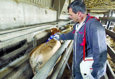 La prescription d’un médicament utilisé en élevage contenant une ou plusieurs substances AIC (antibiotiques d’importance critique) est désormais subordonnée à la réalisation de quatre examens préalables réalisés par un vétérinaire.