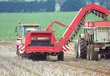 Les arrachages ont débuté en fin de semaine dernière, après un décalage d’une dizaine par rapport au planning envisagé au printemps.