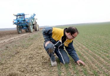 Au-delà de l’aspect réglementaire, le calcul de dose d’azote à apporter à la sortie de l’hiver est la base du raisonnement agronomique de la fertilisation et permet d’ajuster les apports.