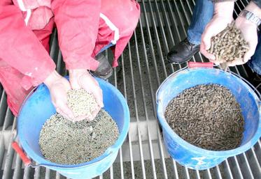 L’indice IPAA, calculé par le journal La Dépêche à partir de seize produits entrant dans la composition de l’aliment, 
a progressé de 24 % depuis août 2017, pour atteindre l’indice 166.