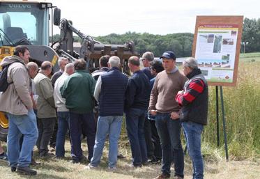 Le GIEE «Eco-phyt’» mène des essais pour accompagner les agriculteurs dans leur transition écologique.