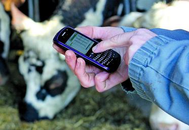 Toutes les innovations techniques ont pour but de gagner du temps et de réduire la pénibilité de certaines tâches.