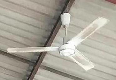 En plus de rafraîchir, l’effet sur les mouches est incontestable.