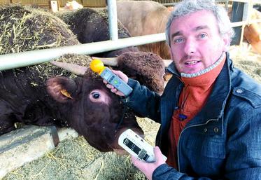 François Drouvin : «En croisant tous ces éléments, cela me permet de déterminer les lieux qui sont dévitalisants, régénérants ou neutres pour les animaux.»