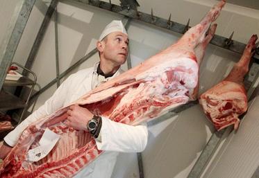 La qualité de la viande de porc dépend d’un grand nombre de leviers qui sont à définir et à améliorer de manière concertée entre éleveur, groupement, abatteur, transformateur et/ou distributeur.