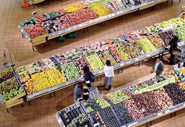 La population, malgré un taux de croissance démographique en diminution, sera le principal moteur pour la plupart 
des produits de base.