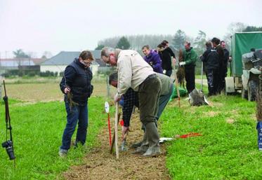 Les employés des Sana Terra ont pris leurs bêches pour aider Hélène et Gonzague Proot à planter 350 m de haies.