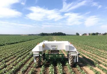 Parmi les leviers utilisés : le désherbage mécanique, avec notamment des robots comme Dino, de Naïo.