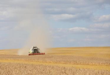 Le bornage permet de fixer les limites d’un terrain.