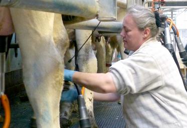 Ce mardi matin, Sandrine était aux petits soins des cent quarante laitières de Vincent et Anne-Céline Dorémus,
à Estrées-les-Crécy.