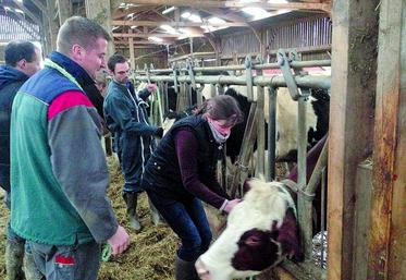 Jeunes agriculteurs et agricultrices se sont frottés aux différents exercices sur les conseils du formateur.