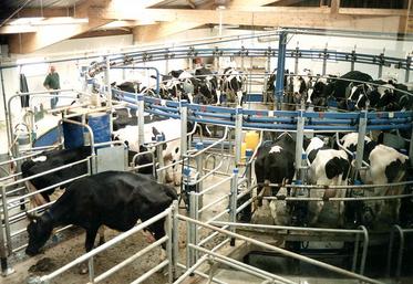 Le secteur des matériels d’élevage est de loin celui qui connaît la croissance la plus importante, suivi des matériels 
de transport.