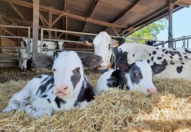 La commission européenne doit désormais plancher sur l’application  des normes sanitaires et environnementales, y compris en matière de bien-être animal.