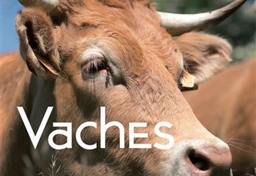 Livre Vaches