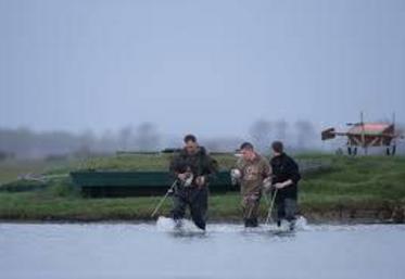 Pas de chasse pour les chasseurs au gibier d'eau malgré leur volonté de se positionner comme des sentinelles sanitaires tandis que le virus H5N8 refait surface.