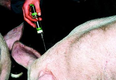 Entre 2011 et 2014-2015, l’exposition aux antibiotiques a diminué pour toutes les espèces : - 24,1 % pour les porcs, 
- 22,1 % pour les volailles, - 17,8 % pour les lapins et - 9,5 % pour les bovins.