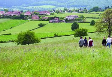 Entre rêve à la campagne et satisfaction de vivre en ville, les Français souhaiteraient rapprocher les deux modes de vie.