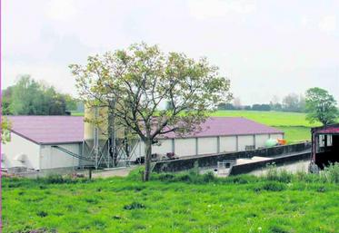 L’exploitation est basée à 30 km à l’ouest de Bruxelles.