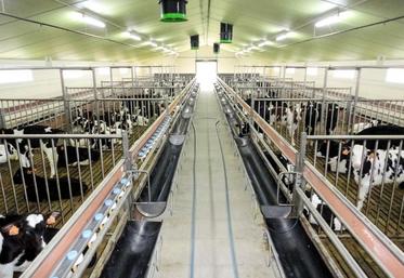Des études sont actuellement en cours sur deux thématiques importantes pour la filière veaux : la réduction des émissions d’ammoniac et de l’usage des antibiotiques.