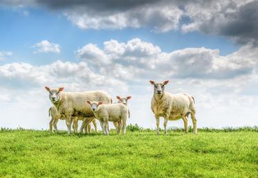 Brexit agriculture Royaume-Uni