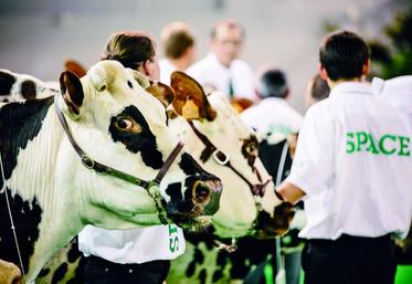 Journée normande. Space 2014.
