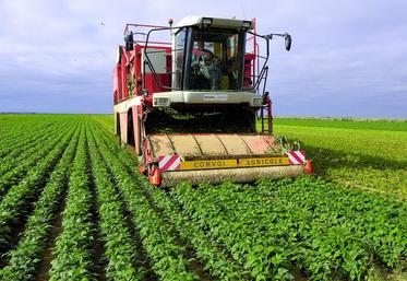 Avec 65 200 ha en 2013, les surfaces consacrées aux légumes de conserve et surgelés ont reculé de 2 %.
