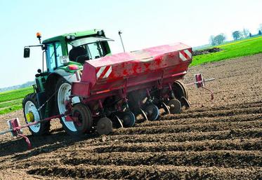 Pour la campagne 2015-2016, ce seront 12 250 ha qui seront cultivés pour une production estimée à hauteur de 670 000 tonnes.