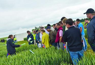 Site de Croixrault : comment pratiquer les bons dosages pour obtenir une fertilisation azotée optimale. Test pratique et explications à la clé de Noriap.