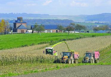 Aider sur un chantier n’est pas considéré comme un coup de main bénévole.