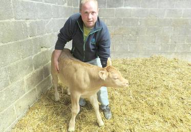Gauthier Destombes : «Au service de remplacement, on voit différentes techniques de travail. Grâce à cela, j’ai pu murir mon projet.»