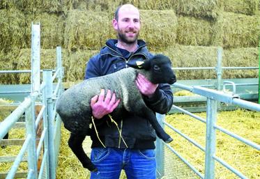 Agé de 29 ans, David Septier est à la tête d’une exploitation de 97 hectares et 150 brebis.