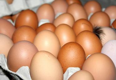 Les Français consomment en moyenne 213 œufs par an et par habitant.