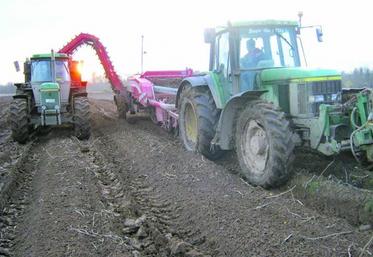 Il faut remonter aux années 2000 et 2001 pour retrouver des conditions de récoltes aussi difficiles.