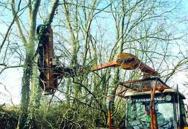 La distance est calculée à partir du centre de l’arbre.