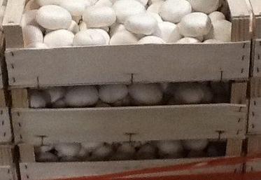 L’entreprise a fait un don de 2 974 kg de champignons.