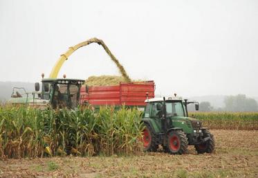 En moyenne, entre le 20 septembre et le 27 septembre, les maïs ont pris 0,3 points de matières sèches (MS).