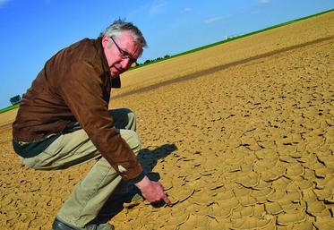 A Villers-Carbonnel, Xavier Flinois montre un champ d’endives, dont la terre, après avoir été inondée, est aujourd’hui totalement craquelée.