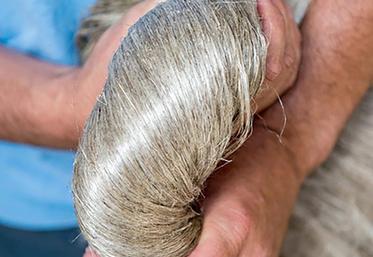 Si la réduction des surfaces est un mal nécessaire pour la prochaine campagne, reste à savoir qui acceptera d’y participer alors que les semis ont déjà bien démarré.