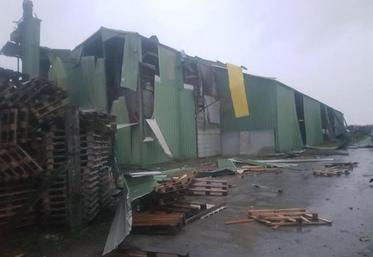 Cet entrepôt de stockage de palettes au nord d'Amiens a été balayé par la tempête qui a soufflé sur la région, lundi après-midi.