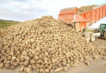 La crise de gouvernance chez Tereos n’en finit pas de connaître rebondissement sur rebondissement.