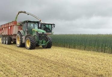 En Allemagne, la culture de seigle pour la méthanisation fait des émules depuis de nombreuses années. En France, Deleplanque croit en un développement similaire, d’où des investissements dans la semence hybride de seigle.