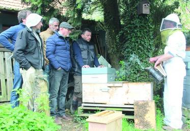 La production de miel est très saisonnière (de mars à juillet), mais, le reste du temps, il y a aussi l’entretien des ruches, l’élevage des abeilles, la commercialisation…