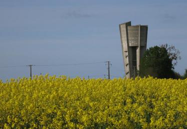 Avec l’importation massive d’huile de palme pour en faire des biocarburants, c’est toute la filière colza industriel qui est menacée.