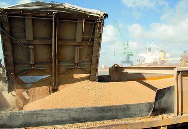Il manque 30 euros la tonne de blé pour atteindre le seuil de rentabilité.