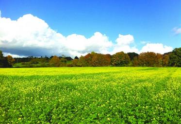Il n'y a plus de date limite d'implantation des CIPAN, mais ces cultures doivent être m	aintenues pendant deux mois.