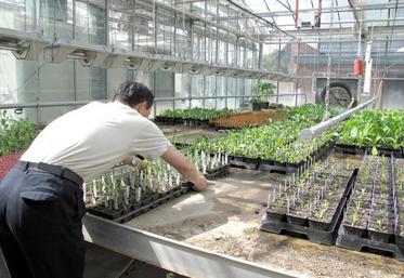 D’après le délégué régional de l’Apecita Bertrand Delesalle, «toute la filière végétale recrute, à différents niveaux. Il y a beaucoup d’offres d’emploi à pourvoir, 
que ce soit dans la recherche, le développement, l’innovation, etc.»